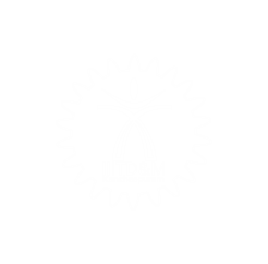 iitdm logo